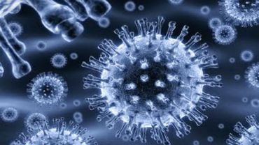 Эпидемия гриппа  объявлена более чем  в половине самоуправлений страны