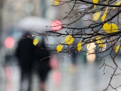 Ответ жалующимся на лето: литовская зима станет неузнаваемой - Литва и страны Балтии