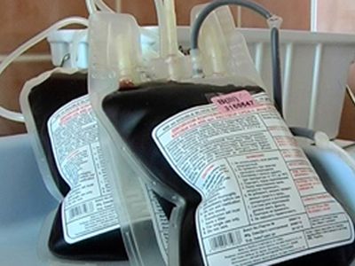 Национальный центр крови поставлял в больницы опасную кровь?                                                 - Наука и здоровье