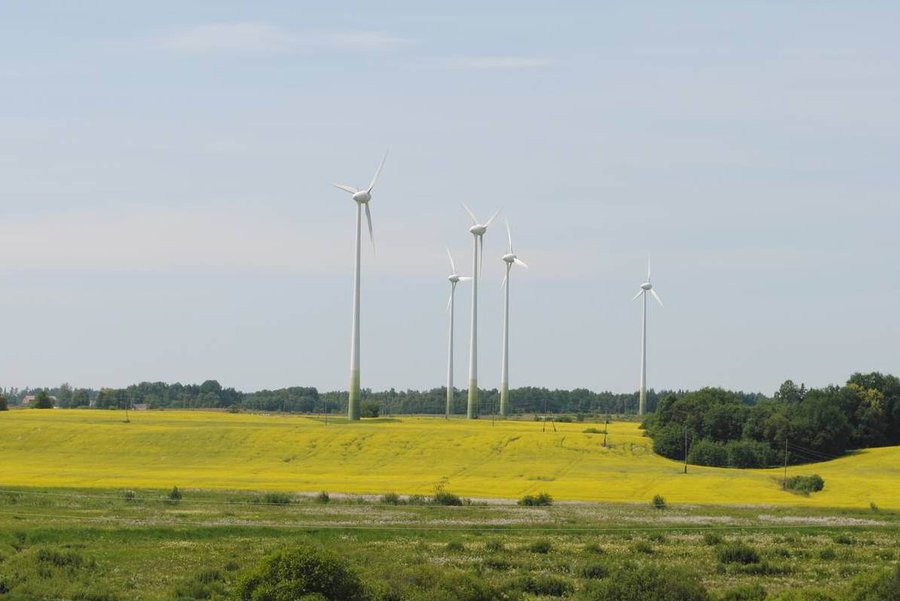 «Ветряки» для отвода глаз в Литве, амбиции Латвии и навязанная альтернатива Эстонии: Как в Прибалтике развивается «зеленая» энергетика                 - Энергетика