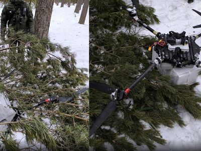 С помощью лесничего пограничники сняли с верхушки сосны приземлённый дрон с белорусскими сигаретами - Происшествия и криминал
