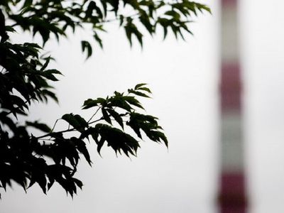 Висагинский совет дал «зеленый свет» проекту «Висагинская когенерационная электростанция» - В Висагинасе