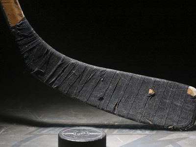 Хоккеиста приговорили за избиение арбитра клюшкой - Культурные и спортивные мероприятия