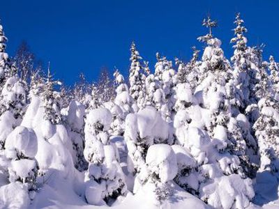 Savaitės pabaigoje – 30 laipsnių šalčio - Lietuva ir Baltijos šalys