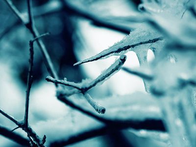 В Татарстане из-за аномально низкой температуры погибли 13 человек - В Мире