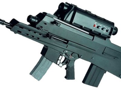 Британская старушка получила по почте винтовку вместо конской сбруи - Хобби, отдых и развлечения