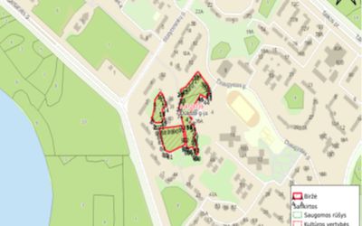 Администрация самоуправления Висагинаса информирует о проведении работ по уходу за лесами - В Висагинасе