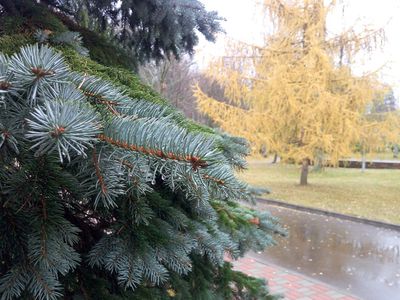 Прогноз погоды в Висагинасе на следующую неделю - В Висагинасе