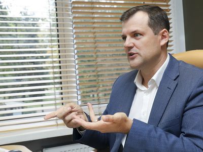 Г. Палуцкас: похоже, правительство И. Шимоните представляет только очень богатых людей - Литва и страны Балтии