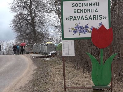 Кто должен вывозить бесхозный мусор из с/о «Pavasaris»? (видео) - В Висагинасе