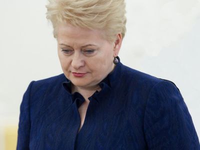 Несмотря на падение рейтинга Дали Грибаускайте, она остается в Литве фаворитом президентской гонки - Литва и страны Балтии