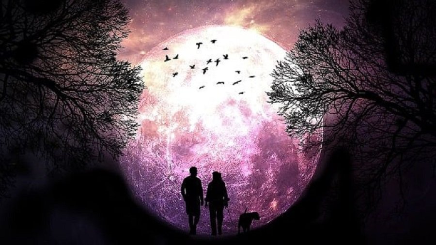 Самое яркое событие – суперлуние: где и когда можно увидеть? - Это интересно