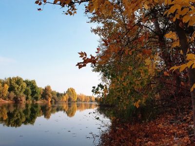 Приглашаем всех на выставку! - В Висагинасе