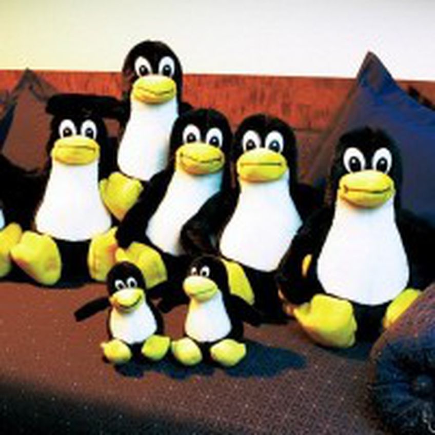 Медведеву предлагают создать «российский Linux»