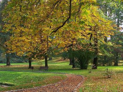 «Бабье лето» кончилось, в Литву возвращается суровая осень - Хобби, отдых и развлечения
