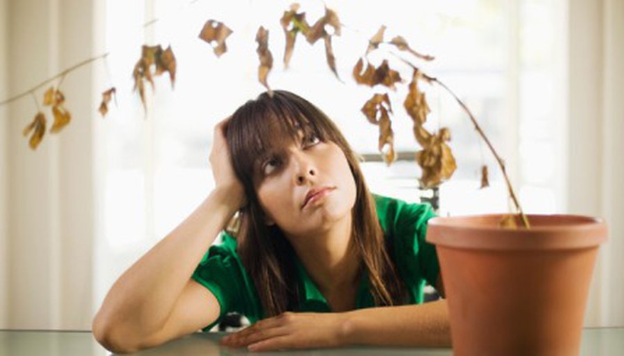 Осенняя депрессия: найти и обезвредить - Наука и здоровье