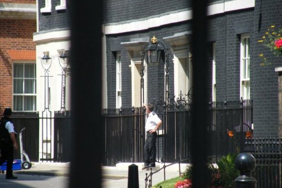 Крыса из резиденции премьера повергла Великобританию в шок - В Мире