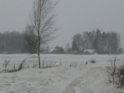 Погода: местами снег, местами — туман - Литва и страны Балтии