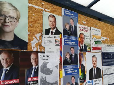 Сколько стоит наружная реклама, и заработал ли на ней город в политическую кампанию? - В Висагинасе