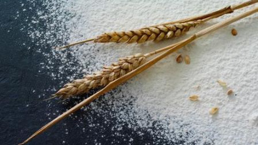 В чем преимущество цельнозерновых продуктов? - Наука и здоровье