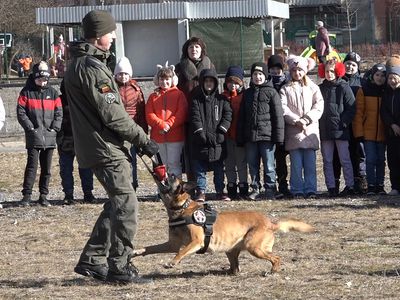 Подготовка к карьере – с пограничниками и четвероногими служащими (видео) - В Висагинасе