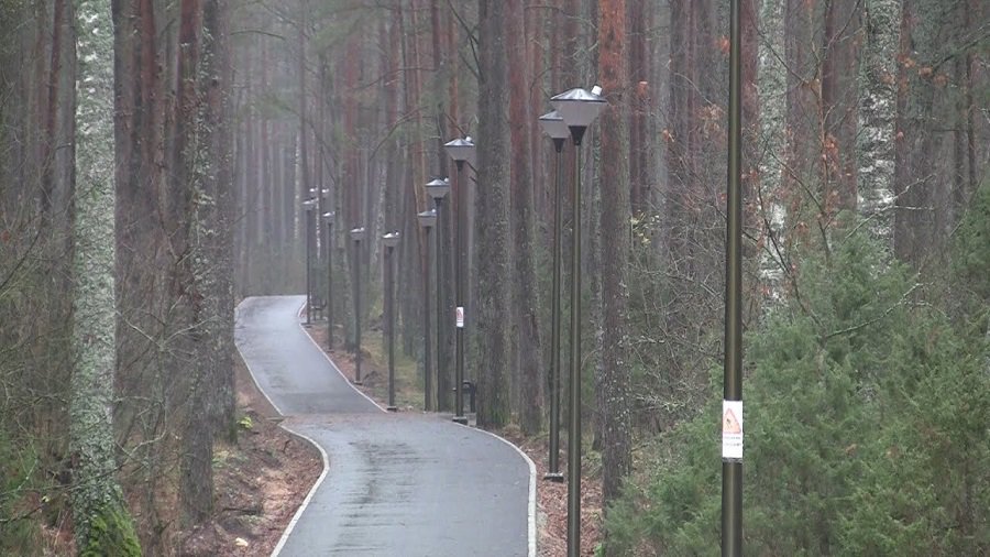Дорожка на вокзал – прекрасное место для прогулок (видео) - В Висагинасе