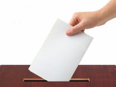 Чего ожидать в преддверии президентских выборов? - Литва и страны Балтии