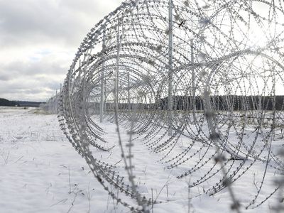 В воскресенье в Литву пограничники не впустили 13 нелегальных мигрантов - Литва и страны Балтии