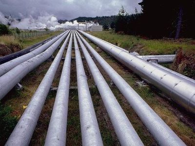 Грибаускайте: в области энергетики правительство пока умеет только разрушать - Энергетика