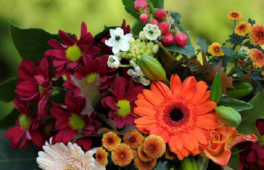 Президент на встрече с учителями в преддверии нового учебного года: все будет хорошо - Литва и страны Балтии