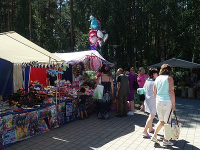 Предупрежден – значит вооружен - В Висагинасе