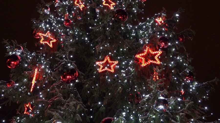 Висагинас зажег огни на главной городской елке (видео) - В Висагинасе