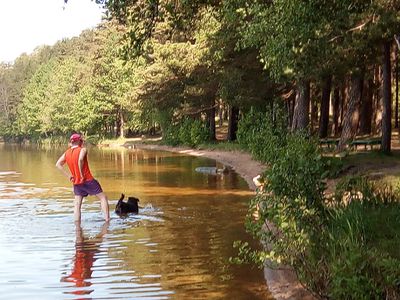 Правила выгула собак: менять или контролировать их выполнение? - В Висагинасе