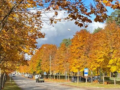 Установилась стабильная погода: приятная осень задержится надолго - Литва и страны Балтии