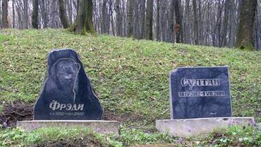 В Вильнюсе появится первое легальное кладбище домашних животных
