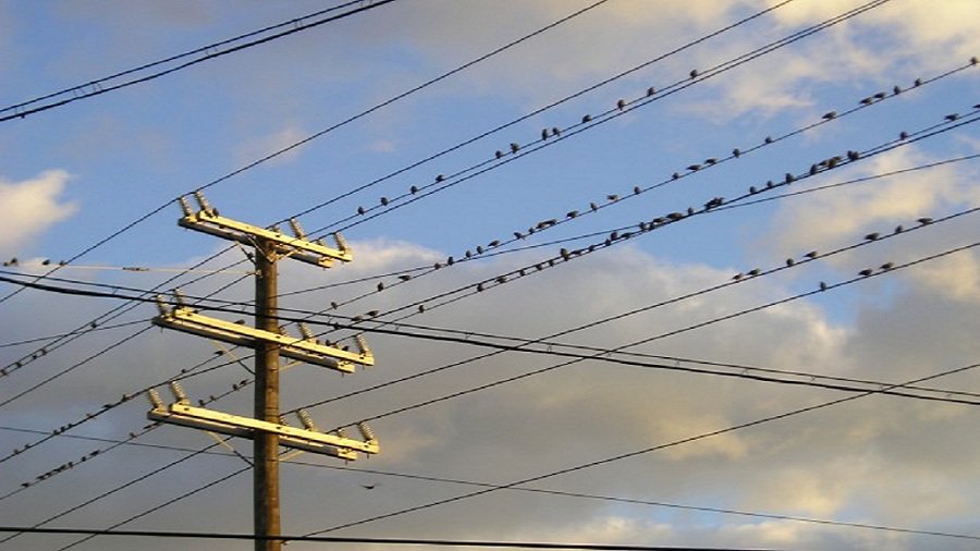 С 2020 года жителей Литвы ждут перемены - возможность выбирать поставщика электроэнергии - Энергетика