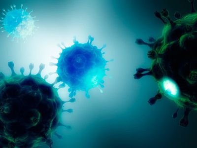 Ученые будут лечить ВИЧ лекарством от рака - Наука и здоровье