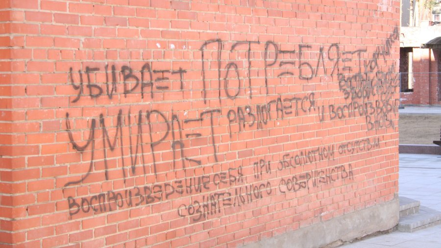 КАДР ДНЯ: Сомнительная «философия» - В Висагинасе