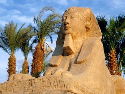 В Египет можно будет возобновить путешествия в начале марта - Хобби, отдых и развлечения