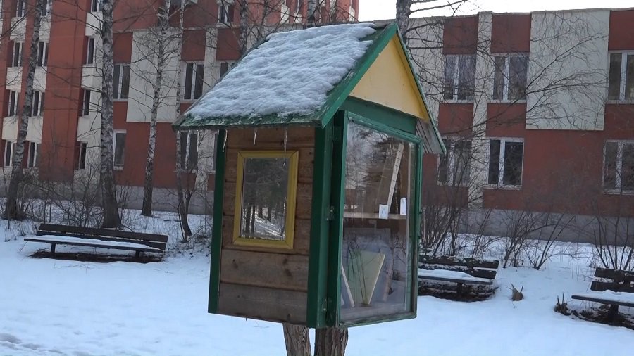 Будут ли в Висагинасе восстановлены уличные библиотечки? (видео) - В Висагинасе