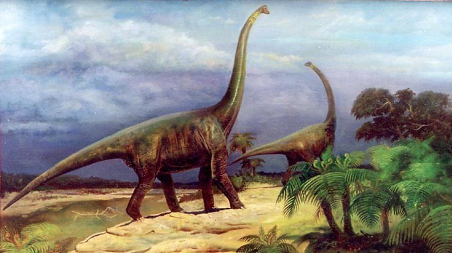 Канадский палеонтолог намерен вывести динозавров путем манипуляций с куриными эмбрионами - Наука и здоровье