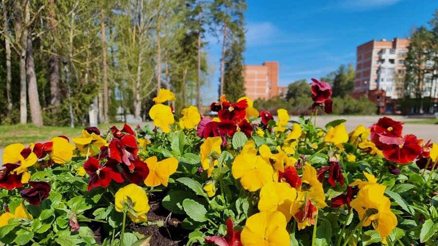 Первая неделя июня порадует теплом - Литва и страны Балтии