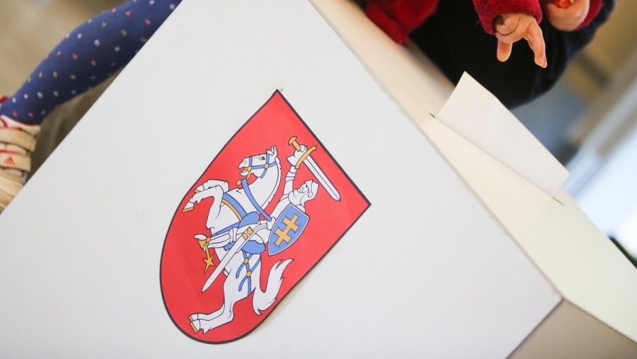 Президентские выборы: Литву ждет второй тур (данные со всех избирательных участков) - Литва и страны Балтии