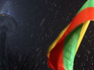 Литва на пороге выборов: социалисты обещают повременить с евро - Литва и страны Балтии