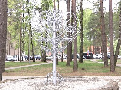 В Висагинасе появилось «Дерево любви»
 - В Висагинасе