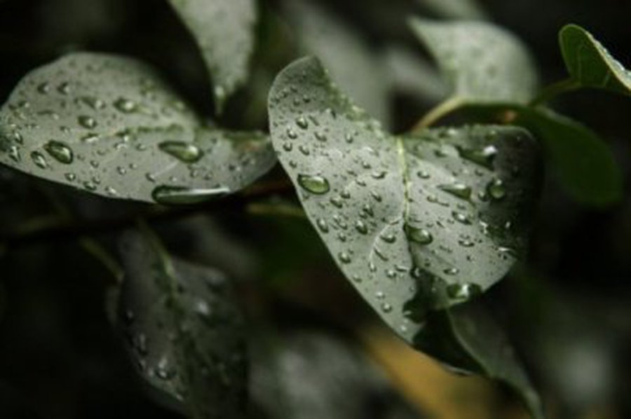 Savaitgalį orai nedžiugins, numatomas lietus - Lietuva ir Baltijos šalys