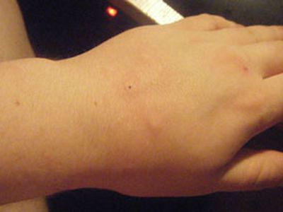 Сводка криминальных происшествий  за период 26—27 апреля 2010 года - Происшествия и криминал