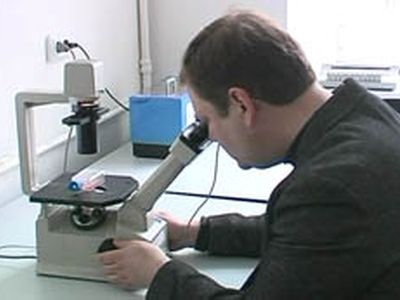 В Литве - первый случай заболевания «свиным» гриппом  - Литва и страны Балтии