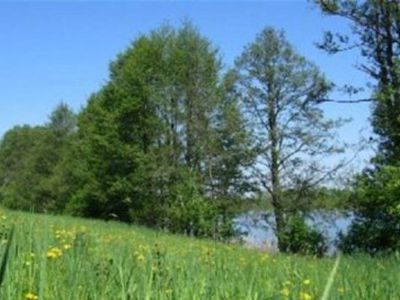 Запрет на покупку земли иностранцами могут продлить на 3 года - Литва и страны Балтии