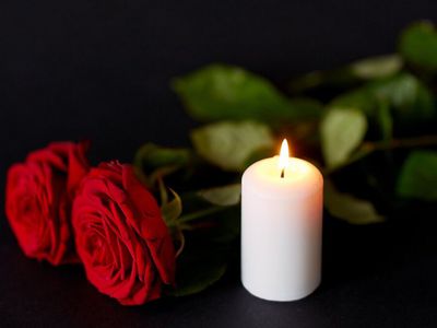 Благодарим за помощь и поддержку! - Благодарность